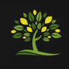 Lemon Tree Financial